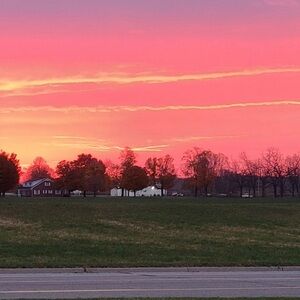 Meet your Posher, Heidi